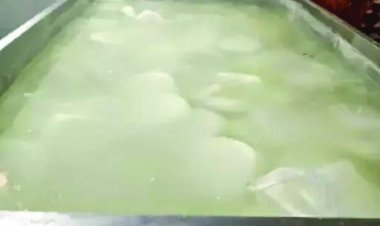 रायपुर में 1700 किलो नकली पनीर सहित 4.76 लाख का माल जब्त, भाठागांव के गोदाम में FDA की बड़ी कार्रवाई