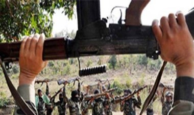 गरियाबंद में 8 नक्सलियों ने किया आत्मसमर्पण