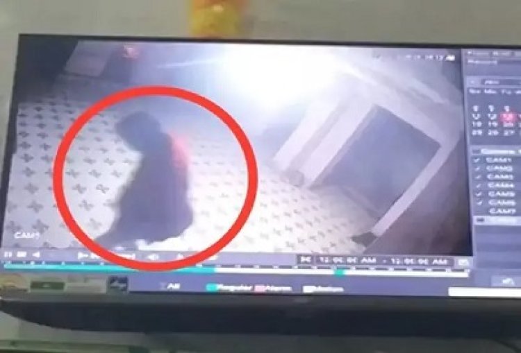 नगरी साईं मंदिर में चोरी, दानपेटी लूटने वाला चोर CCTV में कैद