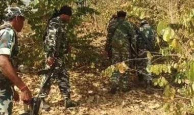 बीजापुर मुठभेड़ में 5 नक्सली ढेर, चार दिन में 214 ठिकाने ध्वस्त