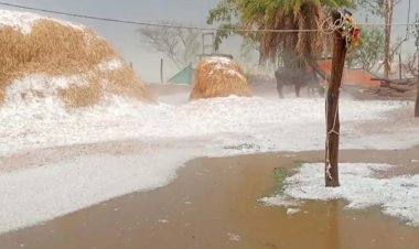 केशकाल में ओलावृष्टि: गांवों में बर्फ की चादर, फसलें चौपट