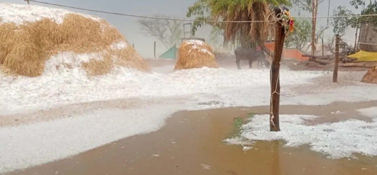 केशकाल में ओलावृष्टि: गांवों में बर्फ की चादर, फसलें चौपट