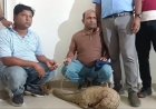 पैंगोलिन बेचने 2 तस्कर पहुंचे रायपुर, वन विभाग की टीम ने पकड़ा