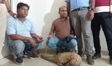 पैंगोलिन बेचने 2 तस्कर पहुंचे रायपुर, वन विभाग की टीम ने पकड़ा