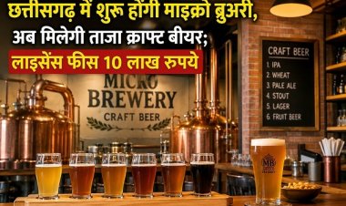 छत्तीसगढ़ में शुरू होंगी माइक्रो ब्रुअरी, अब मिलेगी ताजा क्राफ्ट बीयर; लाइसेंस फीस 10 लाख रुपये