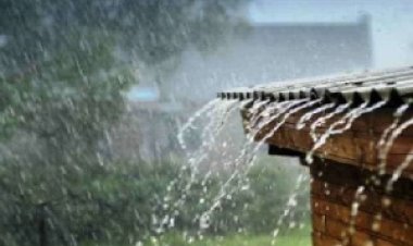 मानसून फिर हुआ सक्रिय, प्रदेशभर में बरसेंगे बादल
