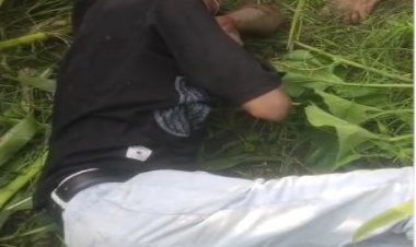 खेत की मेड़ पर बिछा मौत का जाल, करंट वाली फेंसिंग से युवक की दर्दनाक मौत