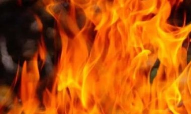 चलती हाईवा में लगी भीषण आग, चालक समेत 3 लोग गंभीर रूप से झुलसे