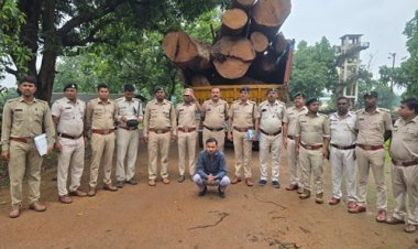 कोरबा वन मंडल ने की 20 घनमीटर अवैध साल लकड़ी बरामद,मुख्य आरोपी गिरफ्तार