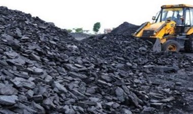 रायगढ़ के दो कोल प्रोजेक्ट्स को केंद्र की मंजूरी, 983 हेक्टेयर वन भूमि होगी डायवर्ट