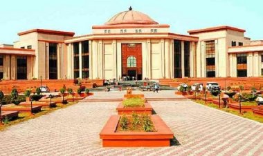 खराब सड़कों और आवारा मवेशियों पर हाई कोर्ट सख्त, मुख्य सचिव से मांगा जवाब